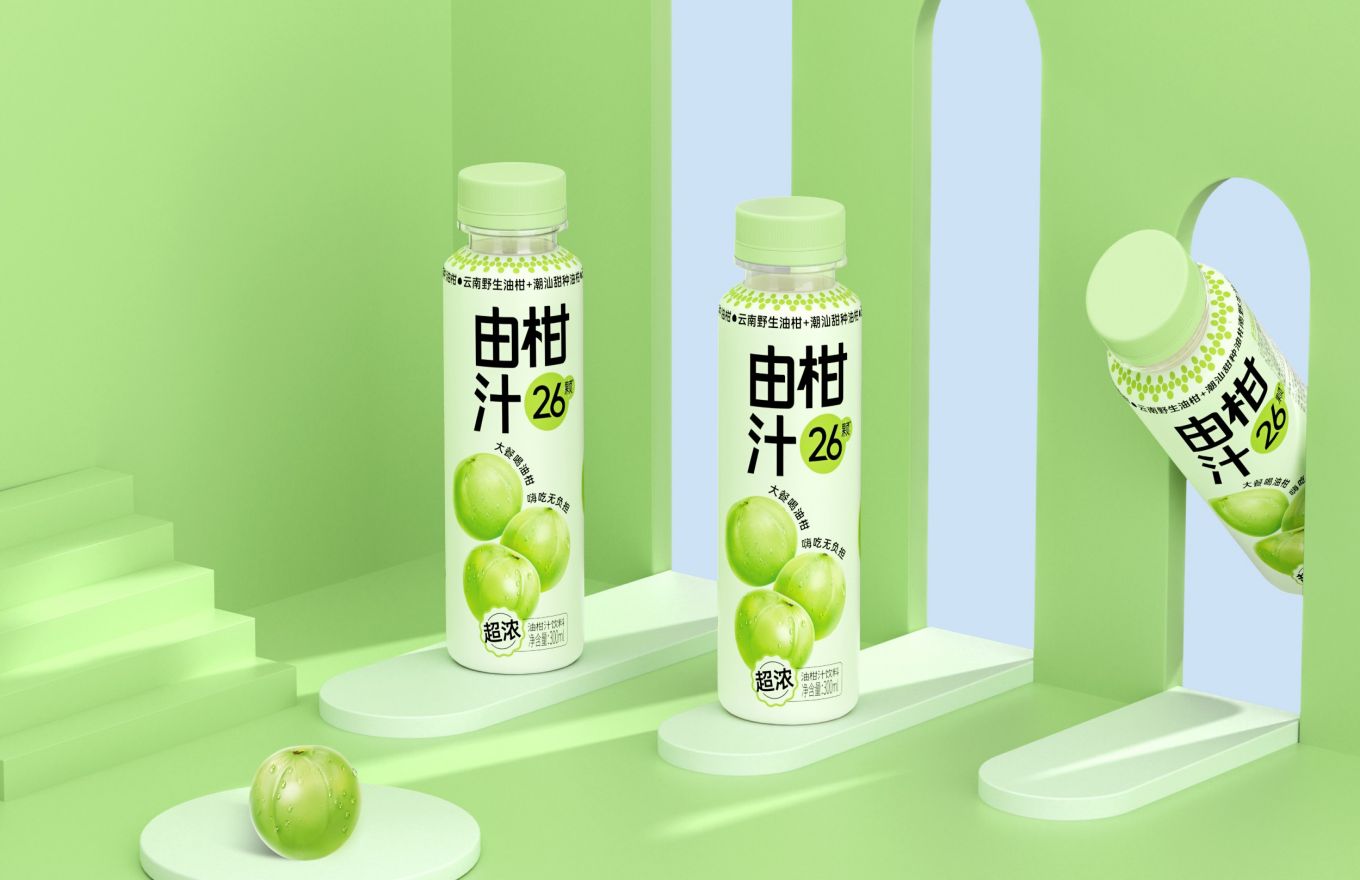 Packaging Design for Eastroc Amla Juice Drink